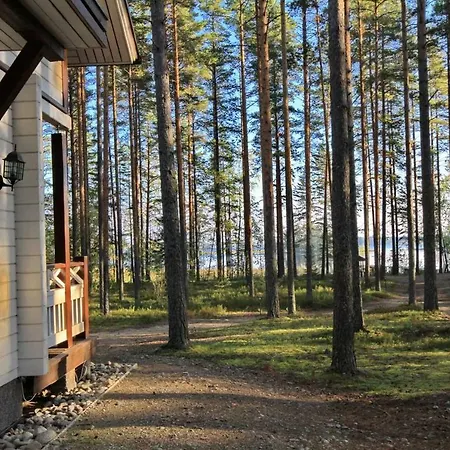 Big House In A Pine Forest *